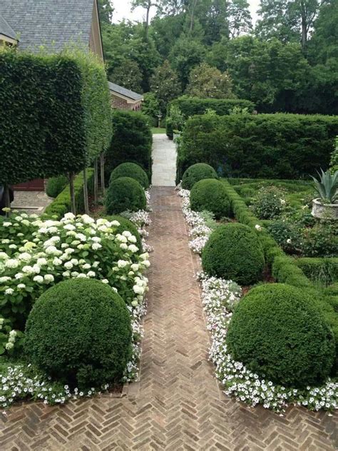 The Garden You Need Boxwood And White Flower Hedges