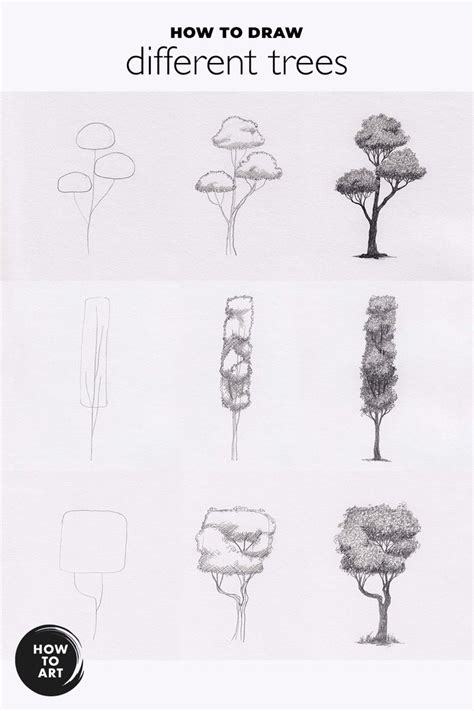 How To Draw Trees In 3 Steps Tree Drawing One Perspective Drawing
