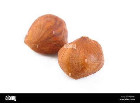 Peeled Hazelnuts Isolated On White Background Stock Photo Alamy