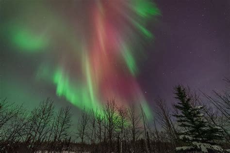 5 Mejores Tours De Auroras Boreales En Fairbanks Alaska 2022