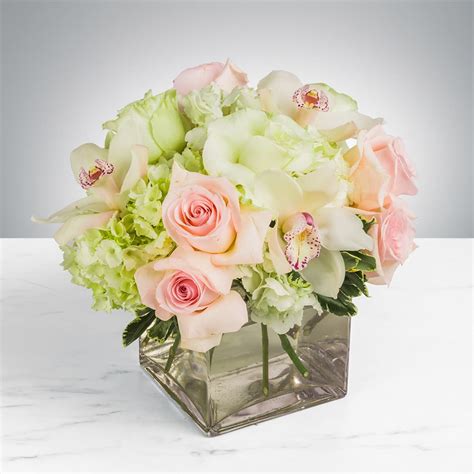 Sep 30, 2021 · please meet directly at the church on friday. Elegant by BloomNation™ in Saugus, MA | Petrie's Flower Shoppe