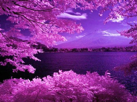 Lovely Tinted Purple Mountain And Lake Scene Nature