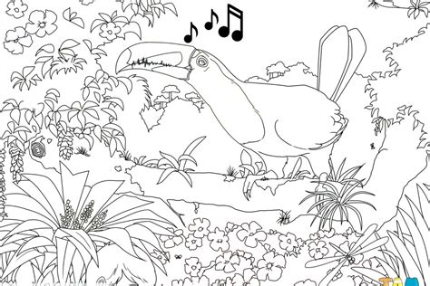 birds-and-flowers-colouring-page – Inside Out