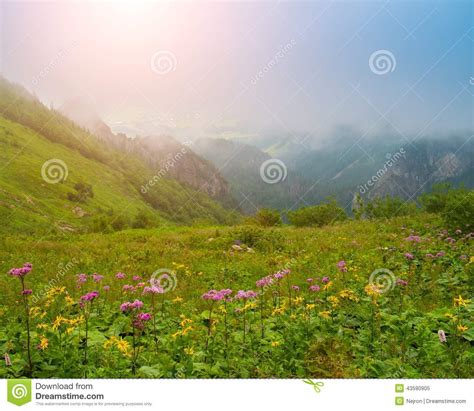 Beautiful Mountain View Stock Image Image Of Ridge Peak 43590905