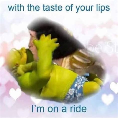 Shrek Kissing Really Funny No Way Rmemes