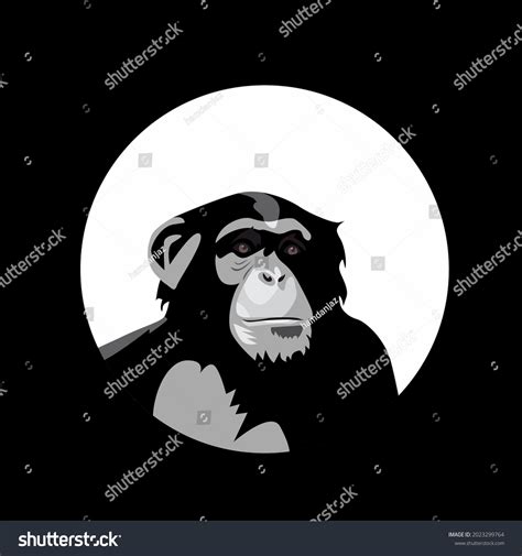 Chimpanzee Head Images Stock Photos And Vectors Shutterstock