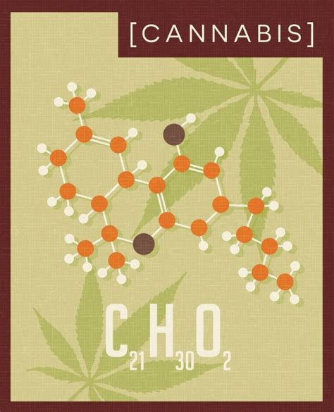 Study Finds New Cannabinoids