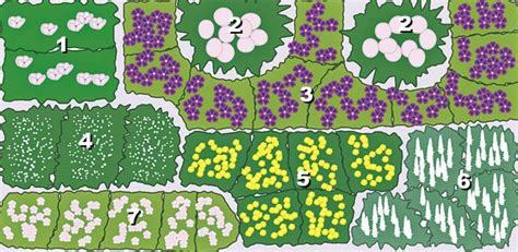 Garten design skizzen alle dekoration landschaftsdesign garten design landschaftsplane. Diese drei Staudenbeete lassen sich einfach nachpflanzen ...