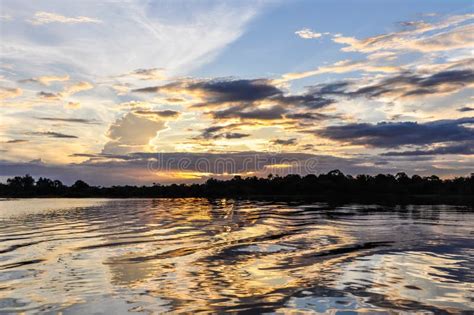 Sunset In The Amazon Rainforest Manaos Brazil Stock Image Image Of