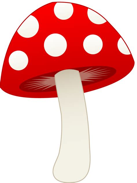 Toadstool Pictures - Cliparts.co