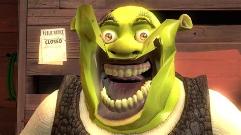 Pin By Derpy Burger On Shrek Memes Shrek Memes Shrek Funny Shrek Porn