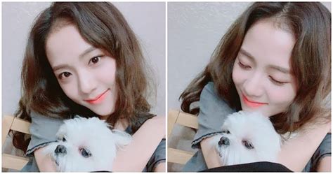 10 Cutest Photos Of Blackpinks Jisoo With Her Dog To Celebrate His