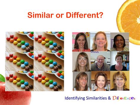 Ppt Identifying Similarities And Differences Powerpoint Presentation