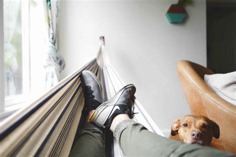 How To Hang Hammocks Inside Your Apartment Rent Blog