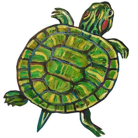 Colorful Green Slider Turtle Sticker By Robert Phelps Slider Turtle