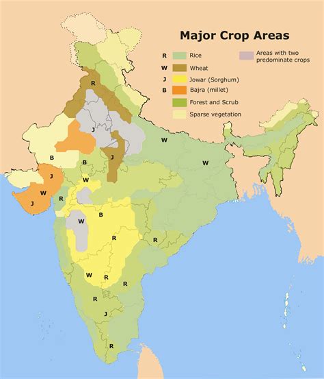 Filemajor Crop Areas Indiapng Wikipedia The Free Encyclopedia