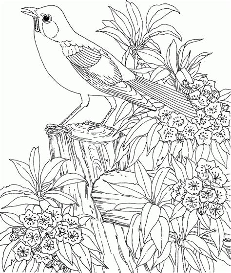 10 Fantaisie Coloriage Précis Pictures  COLORIAGE