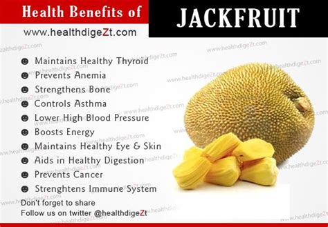 Jackfruit Leaves Benefits Sere Fruit