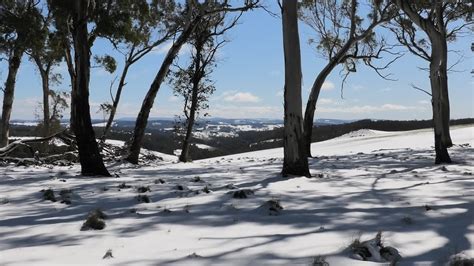 Australia Snow 2020 Snow Year In Review Blue Mountains And Oberon