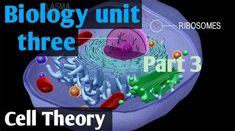 Biology Unit Three Part Three Cell Theory Remedial Biology Youtube