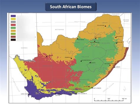 Biomes Of South Africa Diagram Quizlet