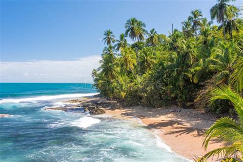 Wild Caribbean Beach Of Manzanillo At Puerto Viejo Costa Rica Stock