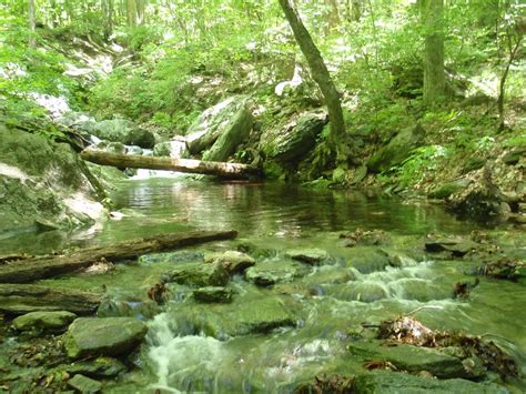 appalachian-trail-pretty-stream-appalachian-trail,-appalachian,-trail