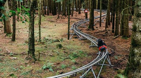Fforest Coaster Forest Roller Coaster Experience Zip World