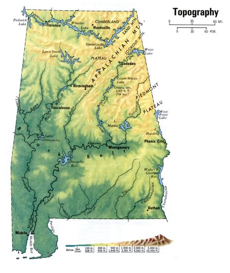 Landscape Of Alabama Topography Map Usa Map Topographic Map
