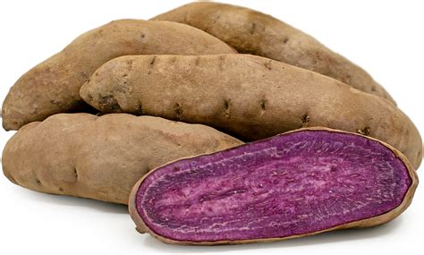 Stokes Purple® Sweet Potato Information Recipes And Facts