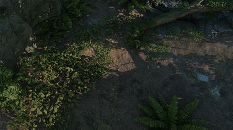 Tropical Jungle Pack In Environments Ue Marketplace
