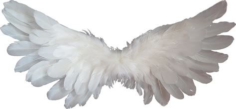 White Angel Wings Free Photo On Pixabay