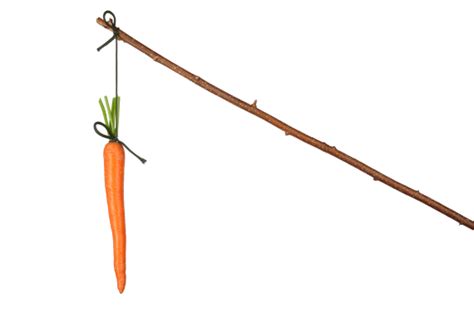 Carrot And Stick Approach To Motivation The Bcf Group