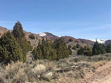 Reno Washoe County Nv Undeveloped Land For Sale Property Id