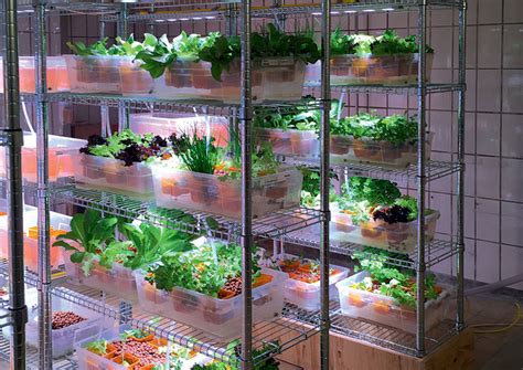 Creative gardening tips garden ideas ikea. The Ultimate Ikea Hack: A Hydroponic Farm - Modern Farmer