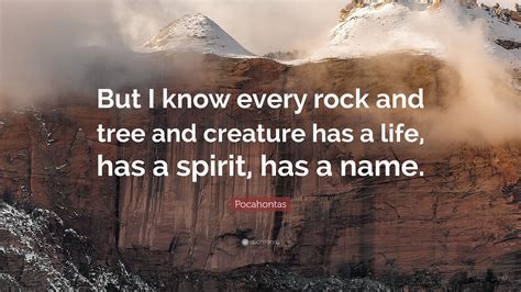 Explore our collection of motivational and famous quotes by authors you know. Pocahontas Quote: "But I know every rock and tree and creature has a life, has a spirit, has a ...