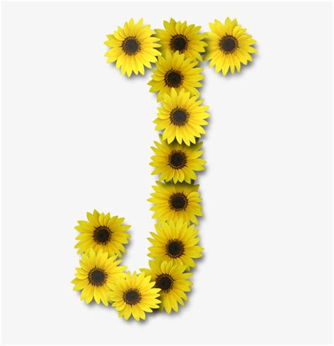 Alfabeto Sunflowers Transparent Png 476x772 Free Download On Nicepng