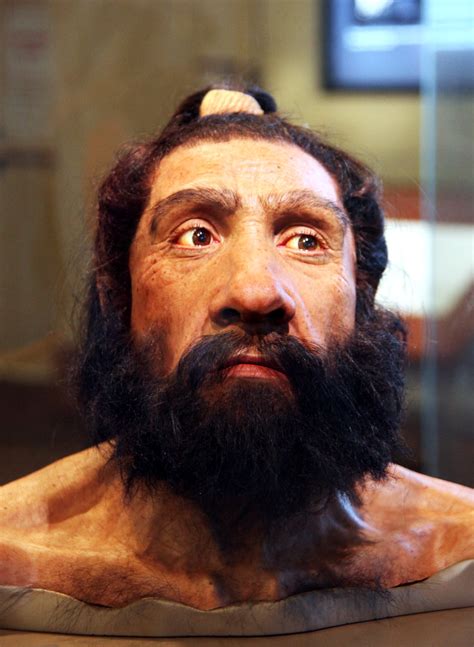 Homo Neanderthalensis Adult Male Head Model Smithsonian Museum Of