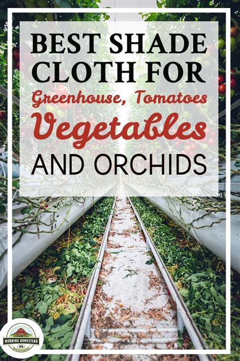 Best Shade Cloth For Greenhouse Tomatoes Vegetables And Orchids 2019