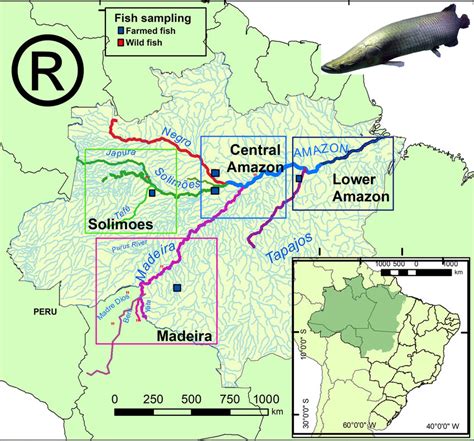 27 Map Of The Amazon River Online Map Around The World