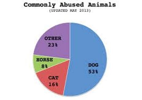 The animal welfare bill 2015 has already been gazetted and this gives prosecutors more bite in their battle against animal cruelty. Statistics - ANIMAL CRUELTY