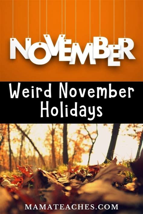 Weird Holidays In November Month Of Unusual Holidays Mama Teaches