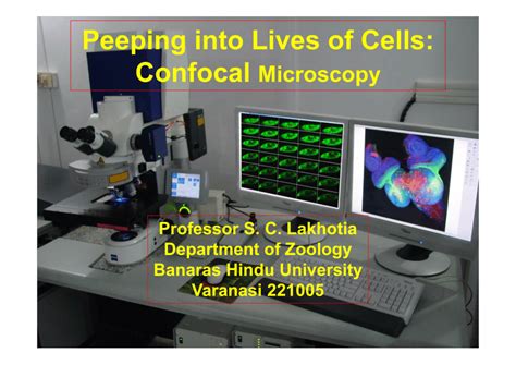 Pdf Peeping Into Lives Of Cells Confocal Microscopy