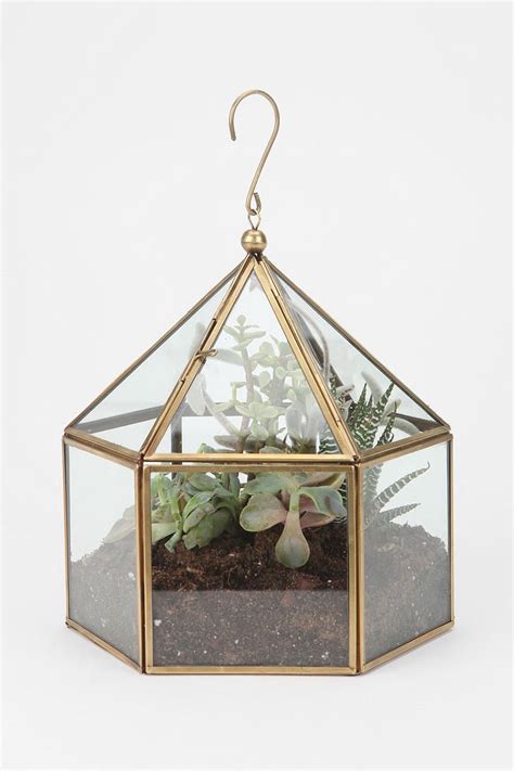 This fused glass mexican cactus pot is the ultimate evergreen house plant and a beautiful and original home the cactus is handmade. Hexagon Terrarium | Little green house, Terrarium, Hanging ...