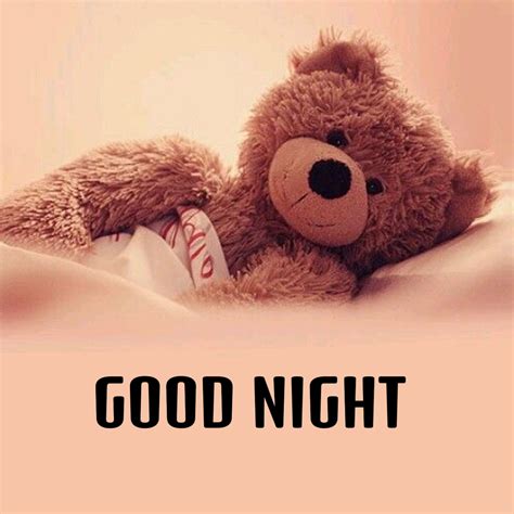 Romantic Good Night Teddy Bear Snuggle Up With Your Loved One Tonight