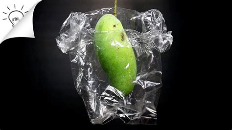 Fruit Wrapper Device From Plastic Bottle Do It Yourself Thaitrick