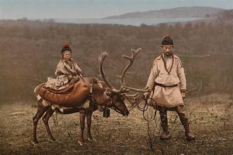The Sami People Reindeer Herding And Cultural Survival In The Far