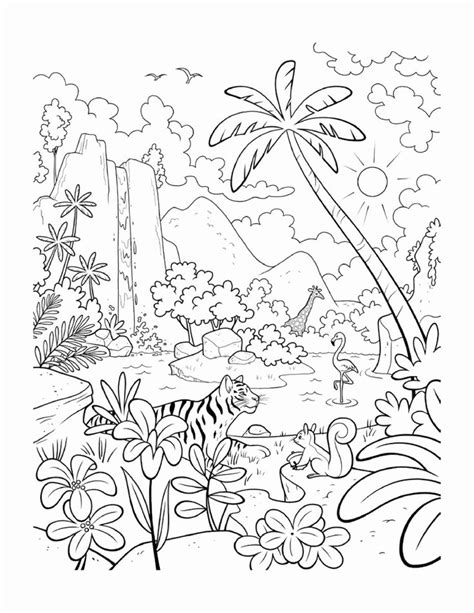 The name kapok refers to the cotton like thing obtained from the seed pods of the tree. Tropical Rainforest Animal Coloring Pages for Kids in 2020 ...