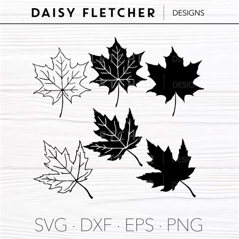 Maple Leaf Collection Svg Fall Maple Leaves Svg Maple Etsy