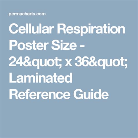 Cellular Respiration Biology Poster 24 X 36 Laminated Quick